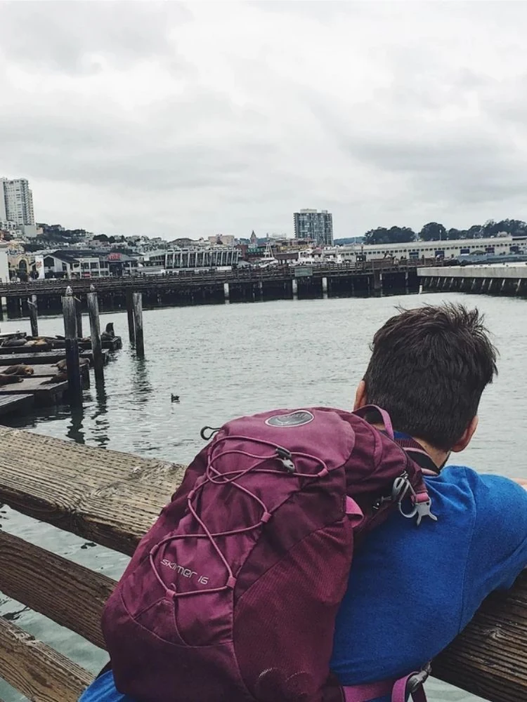 A man with a backpack looking out over the water.